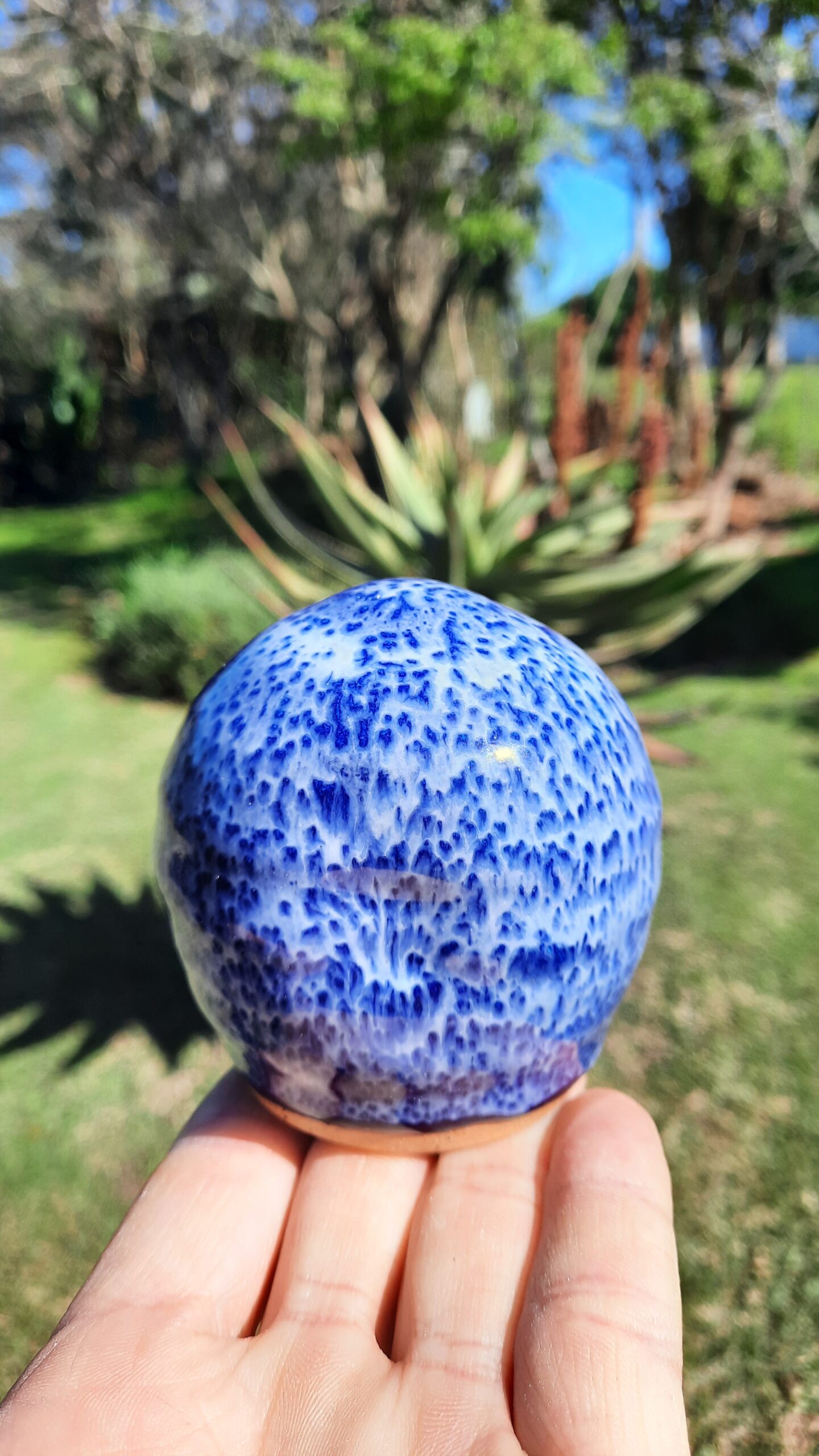 Salt Cellar Scottsdale - mbgtw3y